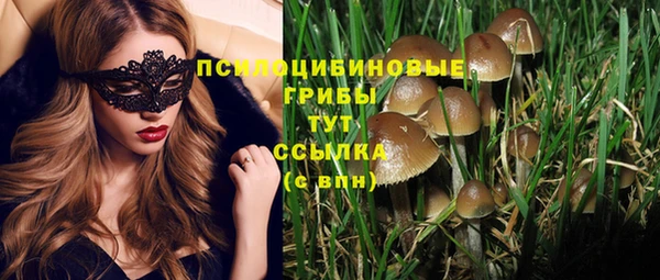 спайс Алексеевка