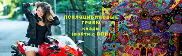 МДПВ Алзамай