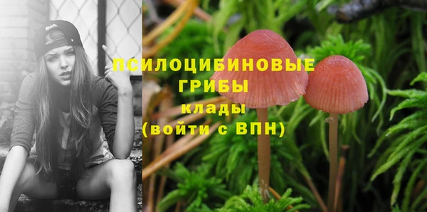 МДПВ Алзамай
