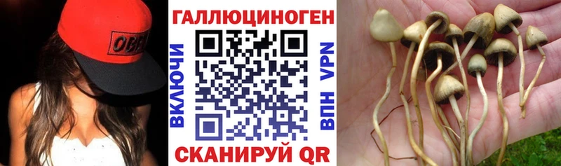нарко площадка наркотические препараты  ОМГ ОМГ зеркало  Бологое  Галлюциногенные грибы мухоморы 